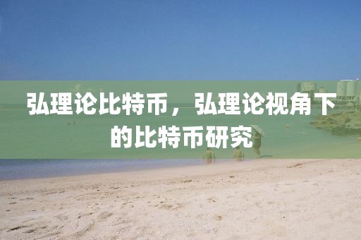 弘理論比特幣，弘理論視角下的比特幣研究